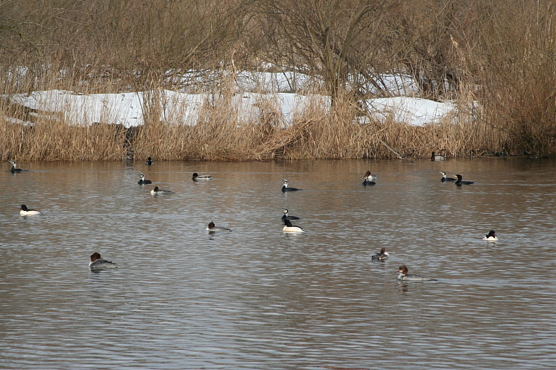 Killikus® Fotographie Killikus® Fotographie